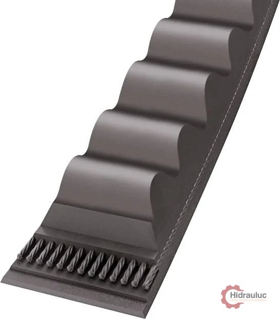 Correia em V KORAX BX40 - Perfil BX (1016 mm)